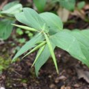 덕산자원(환경) 이미지