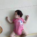나비잠 - 가평군 싸리재길 16 | 나비잠