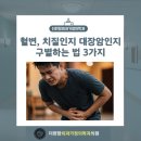 혈변, 치질인지 대장암인지 구별하는 법 3가지 | 더편항외과가정의학과