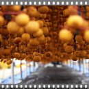 양촌리마을 이미지