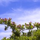 분계정숙민박 이미지