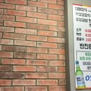 해꿉찌