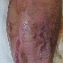 서초베스트외과의원 이미지