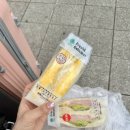 짱돌푸드 | 오키나와 여행 북부투어 버스투어 내돈내산 솔직후기 만좌모 추라우미수족관 아메빌 아메리칸빌리지...