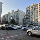 둔산성모마취통증의학과의원 이미지