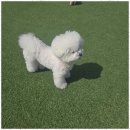 아로하스토리 이미지