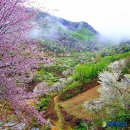산골 이미지