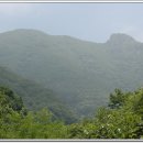 죽림삼거리 이미지