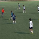 안성가 이미지
