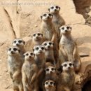 분포문화체육센터 이미지