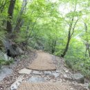 백운산등산로6코스 국제뉴스