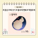 11650-16-38-15 | 「임신일기」 임신 38주 증상 출산신호, 막달운동, 배 크기, 몸무게 변화, 적정 증가량