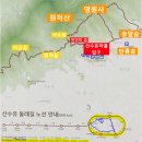 후기 : 2023년3월29일(수) 이천 산수유 꽃구경 &amp; 산수유둘레길 &amp; 게걸무 맛집 이미지