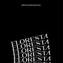 분당-341 이미지