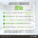 알파용인 - 용인시 기흥구 동백7로 83 | 알파용인