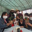 다문화한국어교실 이미지