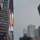 그리다성형외과의원 이미지