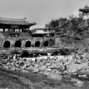 수원-1583 이미지