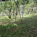 낙원농장3 이미지