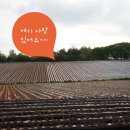 원농장2 네이버블로그