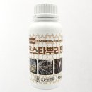순흥농장 | 고추 모종 심는 시기 방법 고추모종영양제