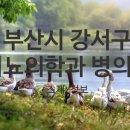 패밀리소아청소년과의원 이미지