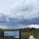 블루마운틴 이미지