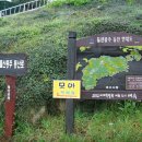 여수 돌산도 종주 이미지