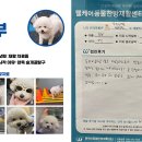 웰케어 동물건강검진센터·동물한방재활센터 이미지