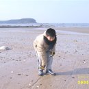 서해실비횟집 이미지