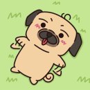 (주)메가투어 이미지