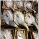 목포수협어판장 8월 26일(월) 소식[민어가격 어제와 비슷, 제수용 건조 생선 샘플 작업중] 이미지