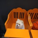 어나더베이비동탄라크몽점