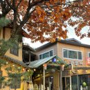 박터졌네 이미지