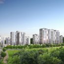 강남-244 이미지