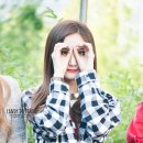 LE 카카오 검색결과
