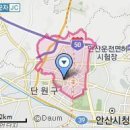 선부동 지석묘군 이미지