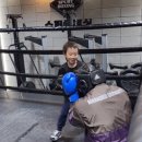 스퍼트 복싱 이미지