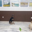 무크스페이스 이미지