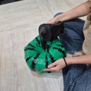 마크풀빌라 | 포항 가족 신상 마크풀빌라, 내돈내산 만족 후기