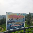 보성 여행 필수코스 갈만한 곳 녹차 말차 녹차밭 카페 초록잎이 펼쳐지는 세상 티하우스 추천