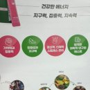 엑스인듀어런스 코리아 이미지