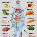 15 Best Foods to Boost Your Immune System 이미지