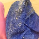 보수동 해마루아파트2차 | 제거 (남포동, 광복동, 중앙동, 동광동, 대청동, 보수동, 부평동, 신창동, 창선동, 태종대)원룸,투룸...