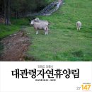 (주)범화오창(하남)휴게소 | 147회 강원도 강릉시 대관령자연휴양림 (대관령 삼양목장) - 강원도 하늘에 반하다 [2박3일 캠핑]