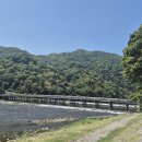 산장찻집(동전고개) | [교토 1일차] 교토투어 | 교토 1일 코스: 후시미이나리·아라시야마(도게츠교·대나무숲)·은각사...