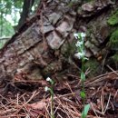 한라전설(주) 이미지