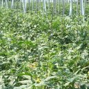 경운농장 이미지