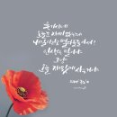 더숲펜션 네이버블로그