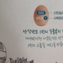 킹스마트 이미지